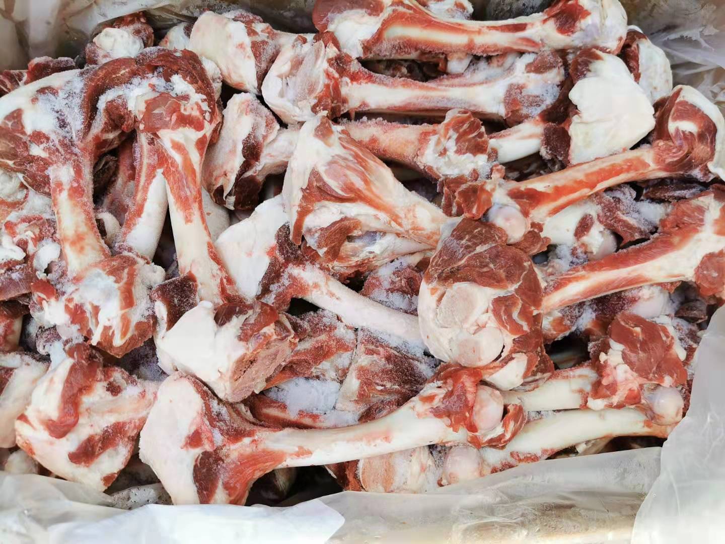 批发羊棒骨 羔羊多肉棒骨 大羊多肉棒骨 育肥羊棒骨 羊干棒骨