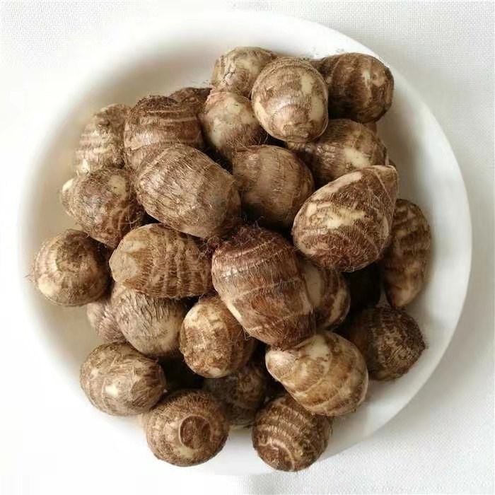 芋头毛芋头农家新鲜小毛芋头软糯可口香新鲜小芋头小芋艿5斤装