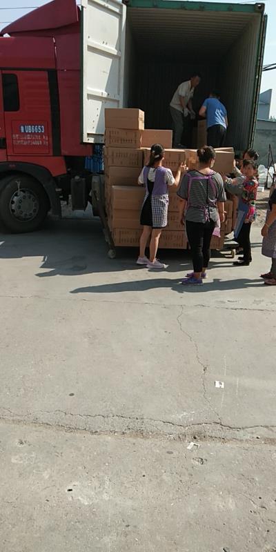 伊科贝特全自动孵化机 小型孵化箱家用微型孵化设备鸡鸭鹅孵化器