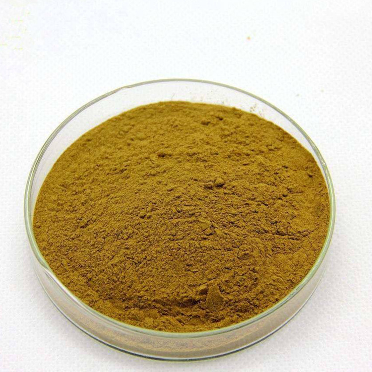 专业中药材批发 菊苣 菊苣粉批发 源头药材供应 量大优惠