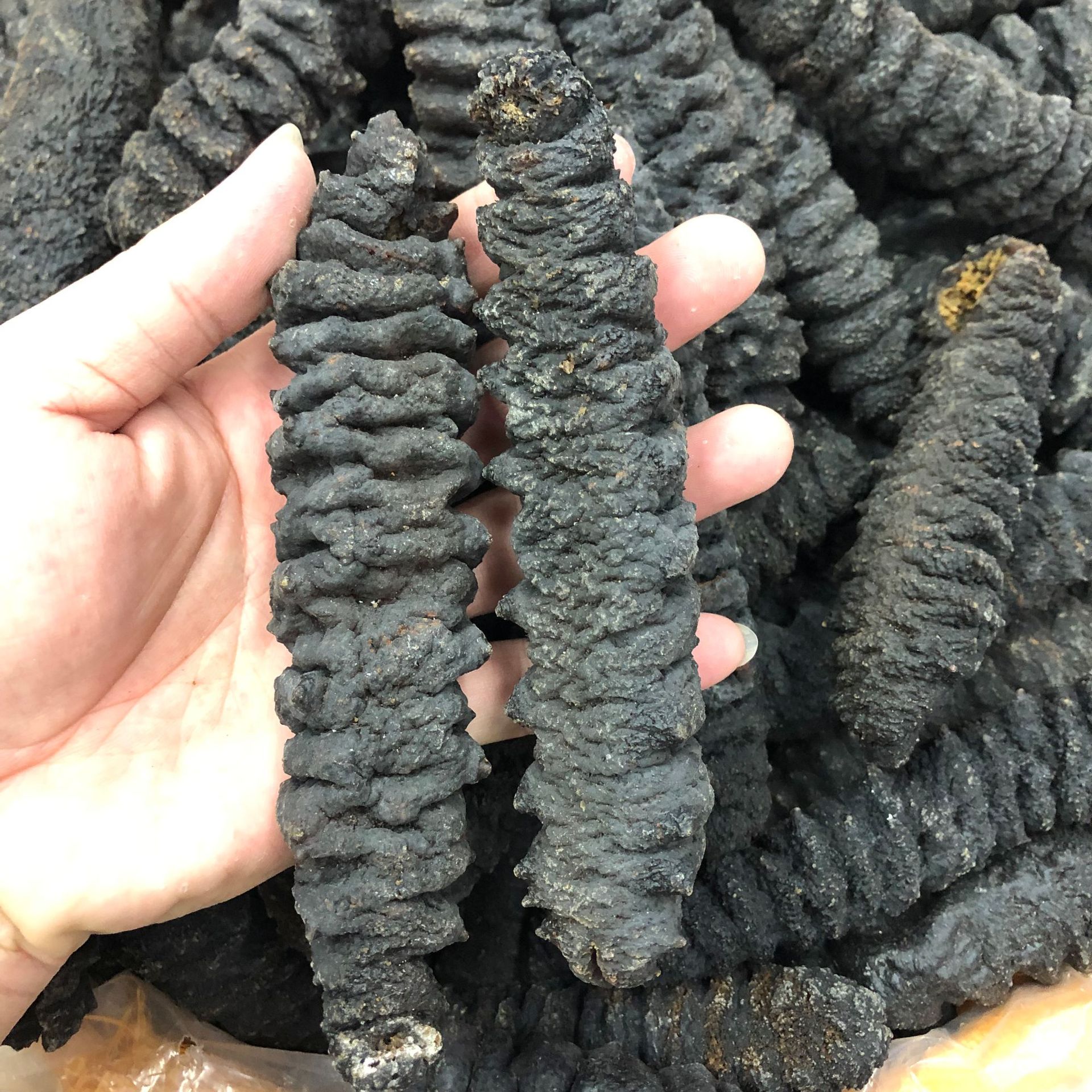 批发渠道深海天然野生海参 龙纹参 螺纹参 黑刺参 淡干海参干贷