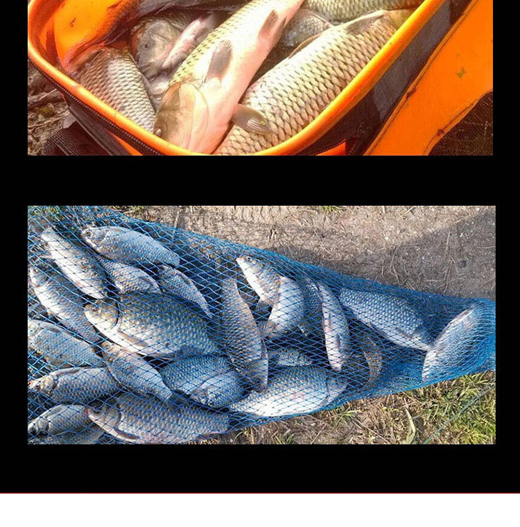 西部风新品打窝饵料黄金米窝鱼饵大米碎米1000g