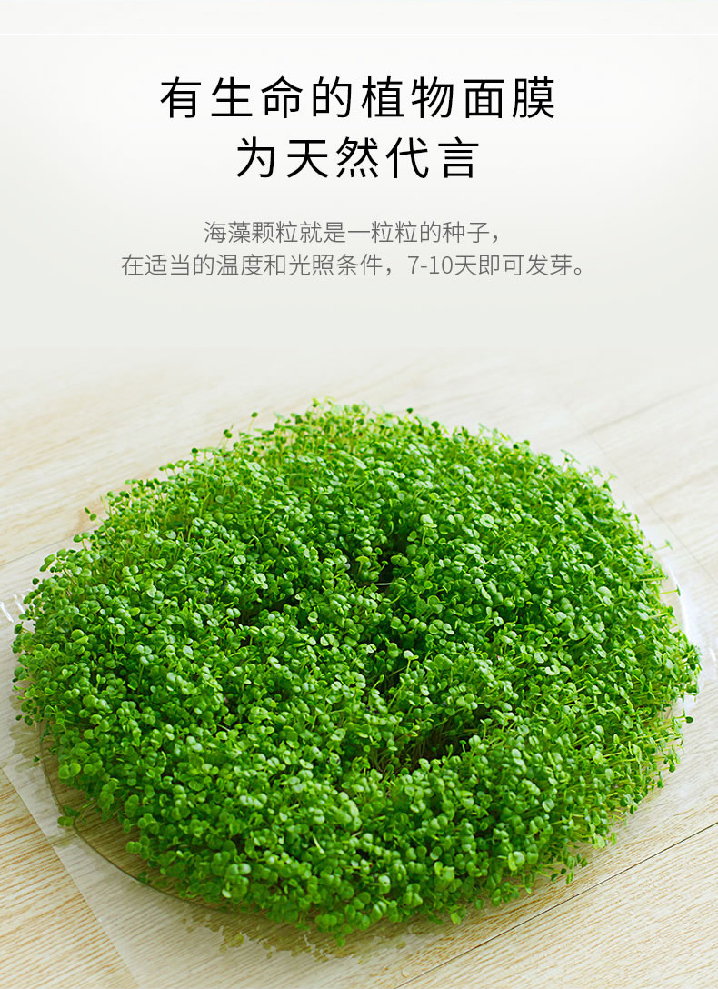 厂家直销花懿嬛小颗粒海藻面膜 补水保湿紧致弹润会发芽不掺国产