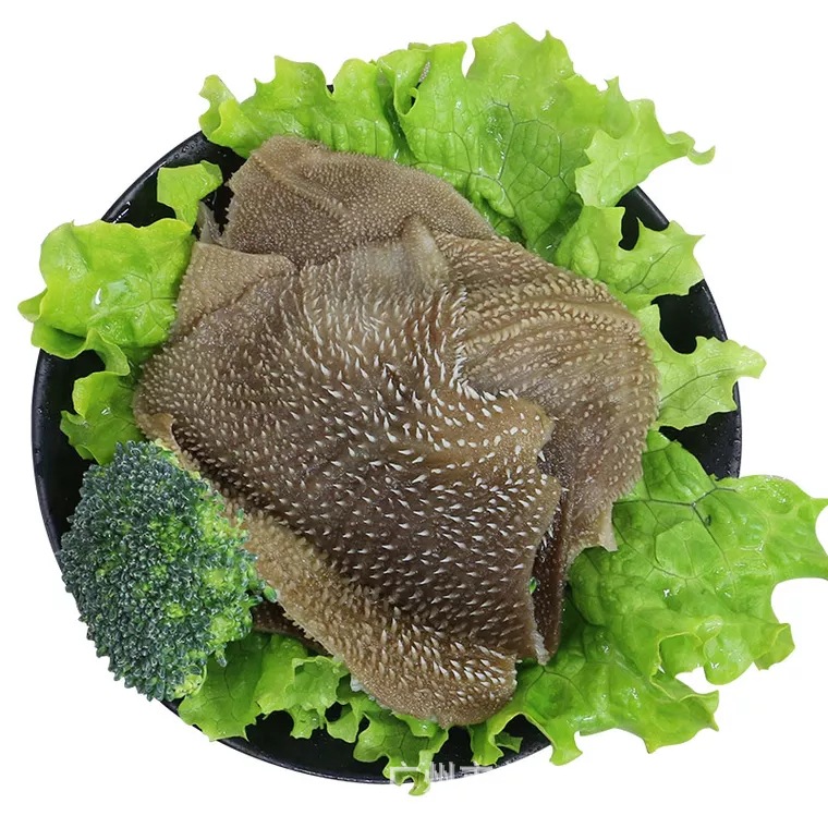 冰鲜爽脆 黄牛黑毛肚 大叶片牛肚重庆火锅食材涮火锅牛杂2.5kg/包