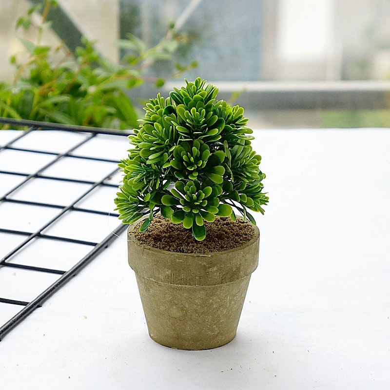 绿植桌摆小盆景金刚草1179 仿真花家居商场柜台酒店婚庆摄影道具