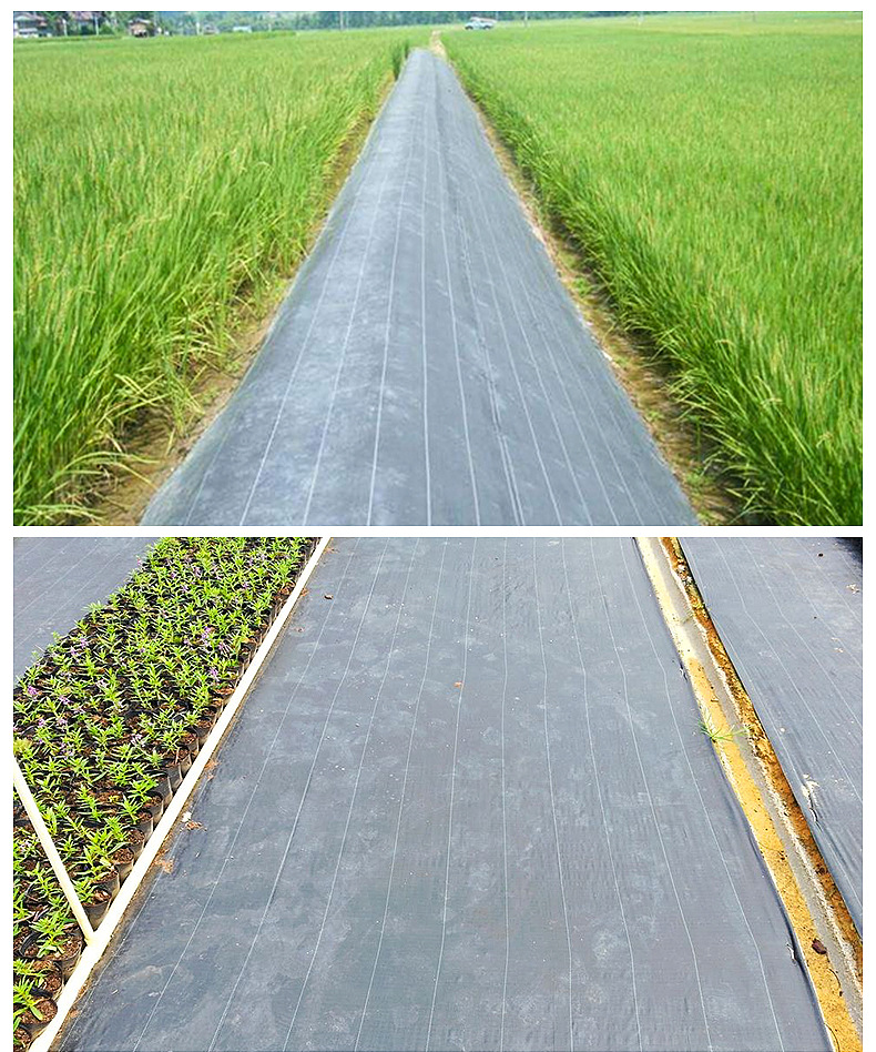 防草布除草地布园艺地布大棚农用地布抗老化果园防草地布