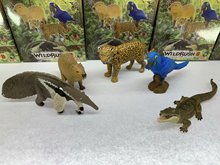 2019新款 1代 5款 热带 动物 鳄鱼 食蚁兽 豹子盒蛋 手办模型