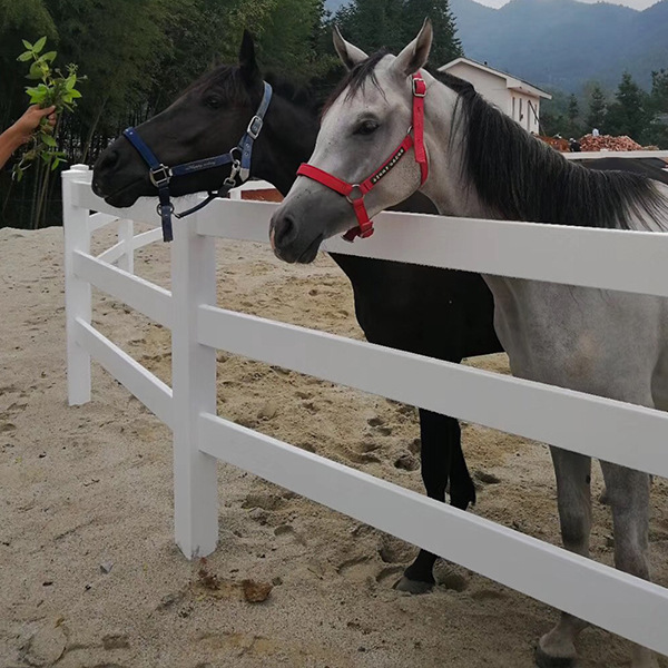 马场护栏调教圈栅栏马术围栏马场赛道栏杆隔离栏厂家uvpc护栏
