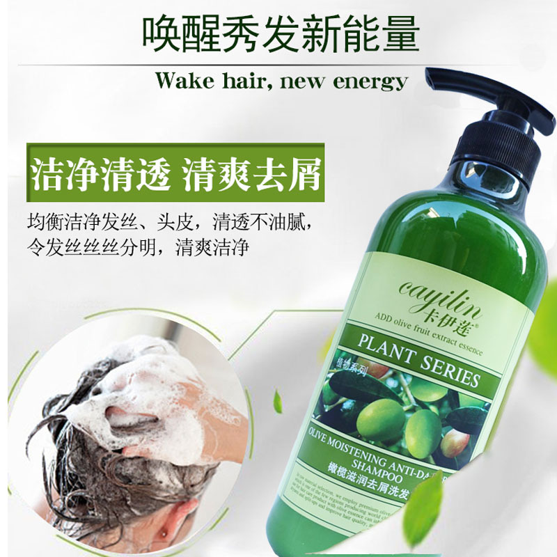 批发仙维娜卡伊莲洗发水沐浴露套装去屑止痒洗发露酒店用品正品