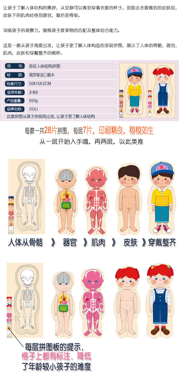 男孩女孩身体结构拼图 幼儿童木质玩具人体器官认知早教多层拼板