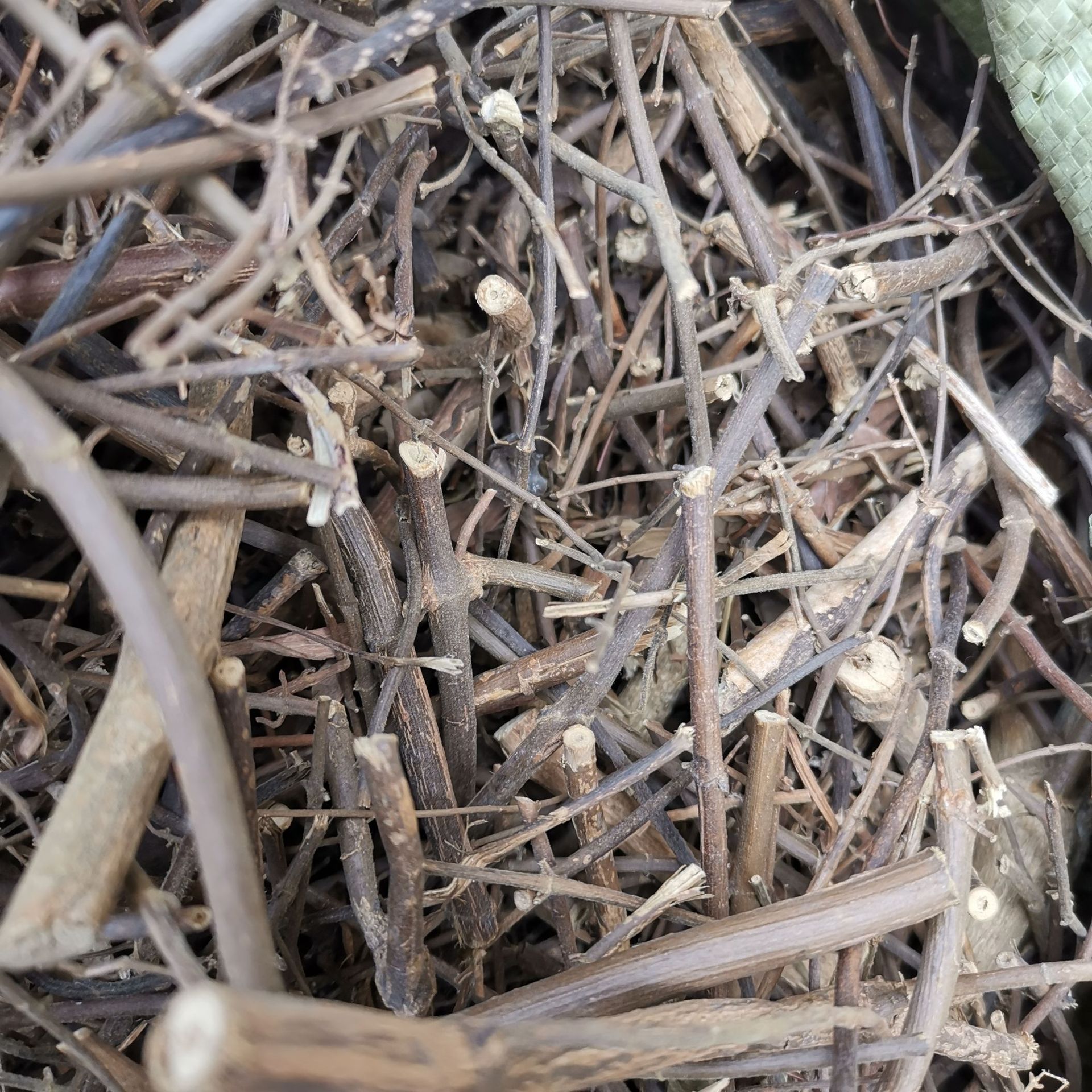 中药材 扭肚藤 猪肚勒 白花茶 青藤仔花 量大从优