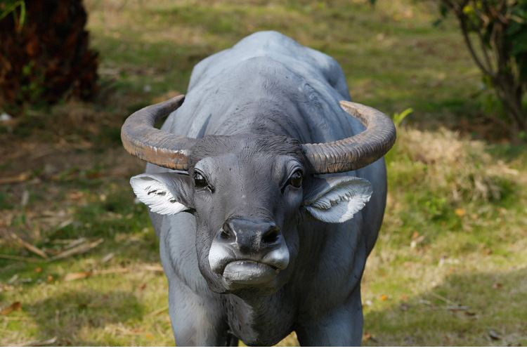 户外玻璃钢雕塑仿真动物模型水牛树脂摆件园林景观雕塑工艺品装饰