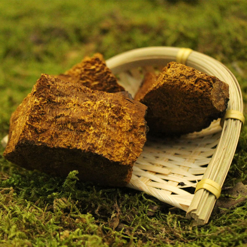 桦褐孔菌桦树茸白桦茸长白山野生-阿里巴巴
