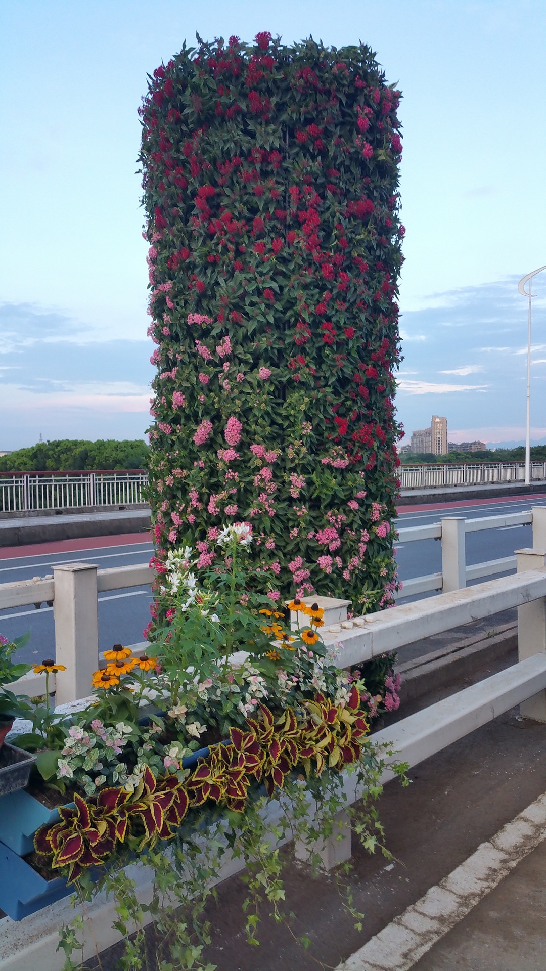 高架桥天桥中央隔离带景观花柱 公园立体绿化花柱 pp塑料半圆花盆