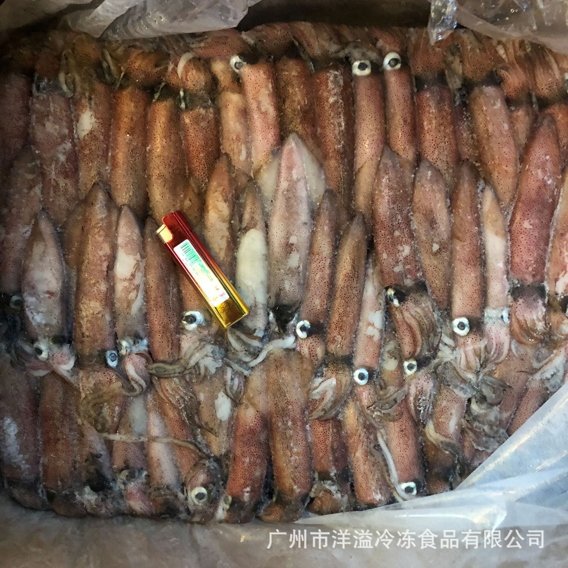 鱿鱼 冷冻 印尼红鱿鱼 6号 笔管鱼 船冻鱿鱼 广州批发 30斤/件