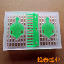出口针王笼 塑料 囚王笼 控制蜂王中蜂意蜂 防蜂跑可折针式叠王笼