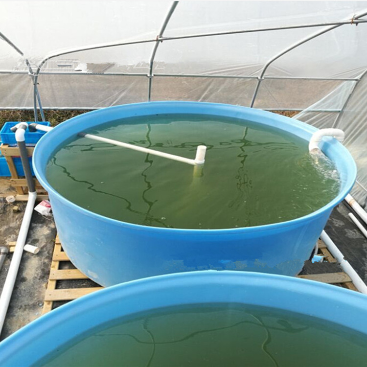 5吨尖底圆桶 敞口养殖桶 养鱼观赏桶