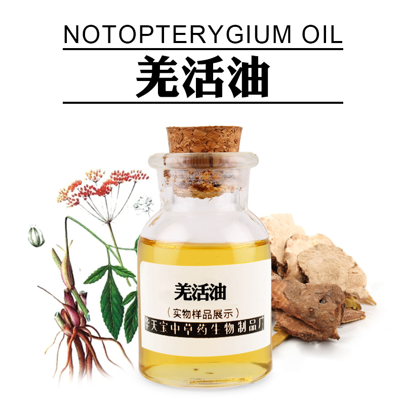 羌活油 notopterygium oil 蒸馏提取羌活精油 华天宝植物精油厂家