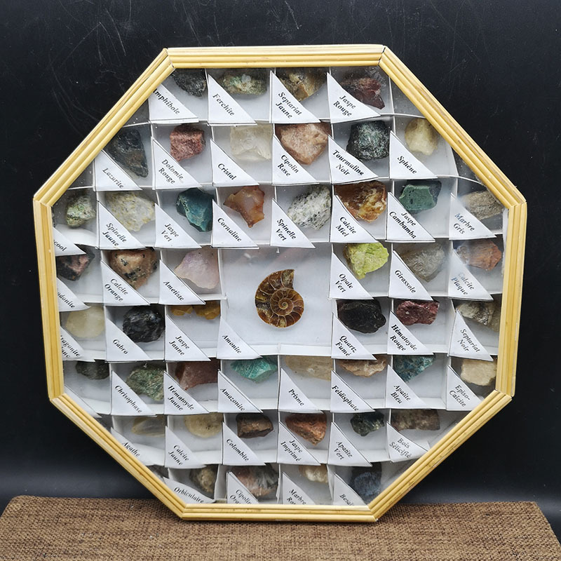天然49格矿物化石教学标本盒矿石晶体岩石头水晶原石摆件地质科普