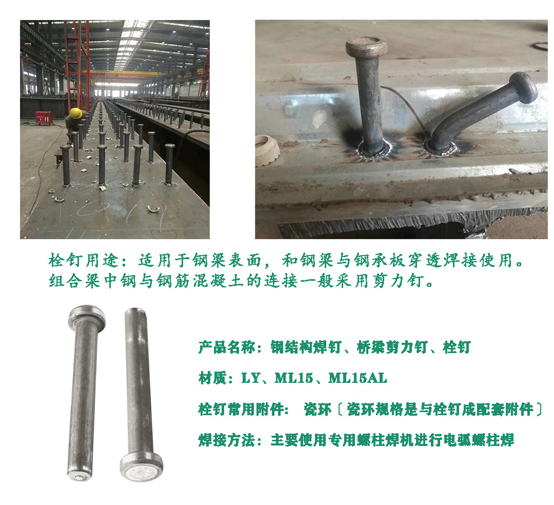 钢结构桥梁圆柱头焊钉螺栓 剪力钉加工 剪力钉 钢结构焊钉
