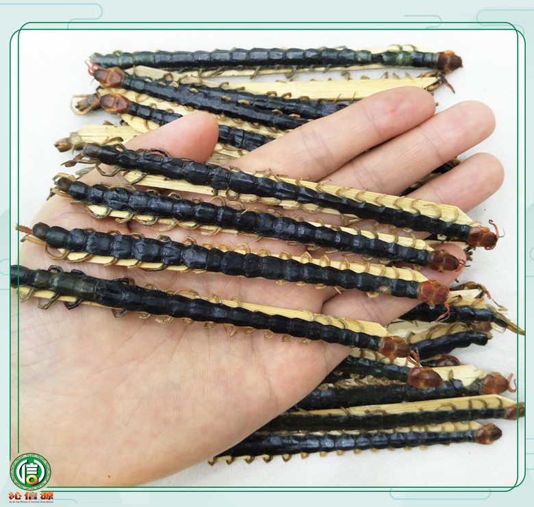 【满包邮】蜈蚣中条平均13~14cm/条干货散装产地直供沁信源中药材