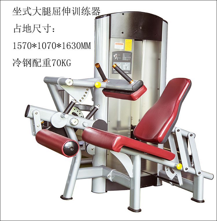 夹胸训练器大腿屈伸高位下拉大小飞鸟倒登机商用健身房私教工作室