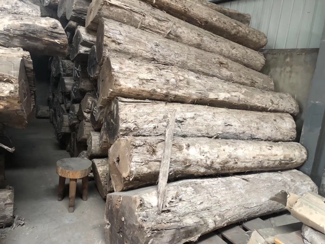 墨西哥乌木 黑柿木原木料 神木 十二雄蕊破布木 价格便宜 发货快