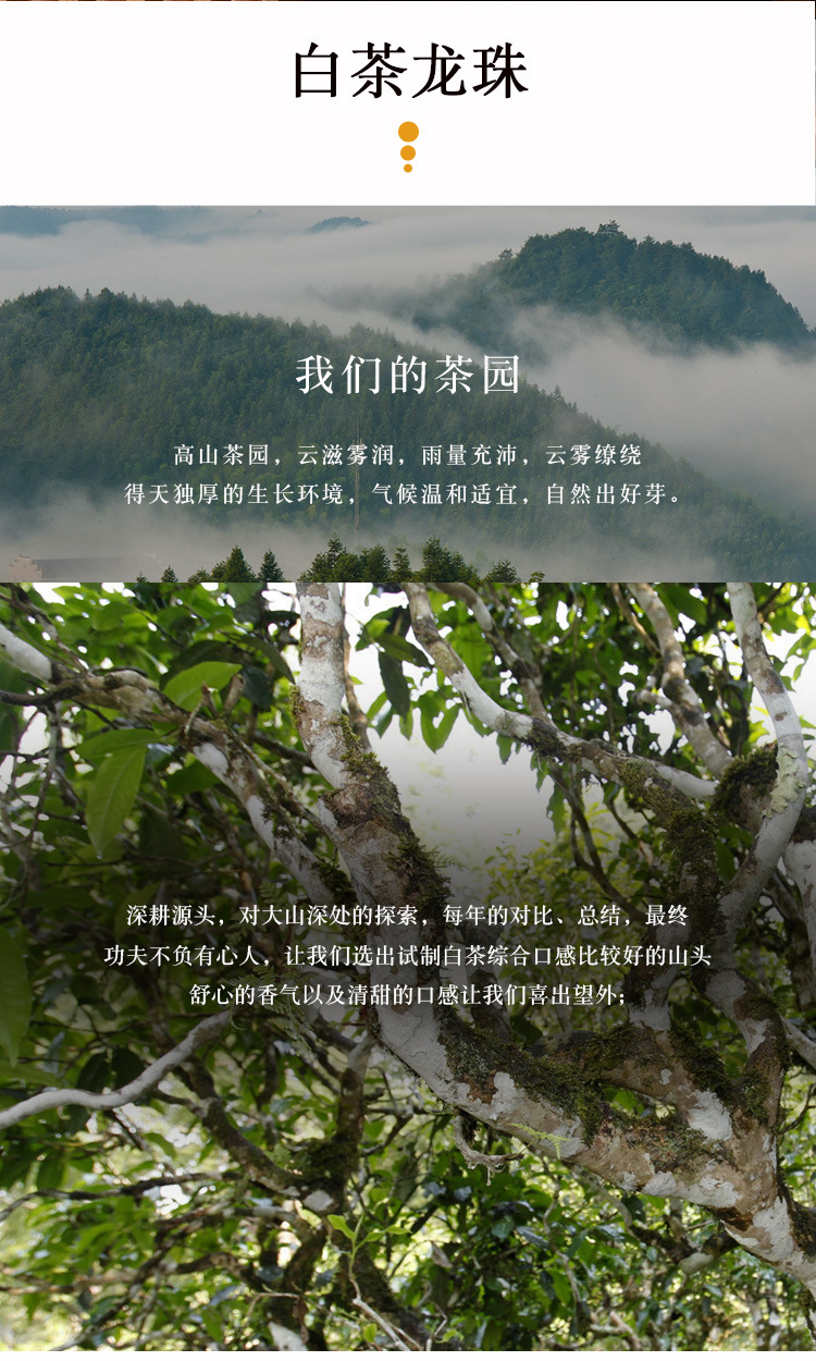 普洱茶老班章熟茶生茶凤庆红茶白茶300年古树龙珠礼盒装带手提袋