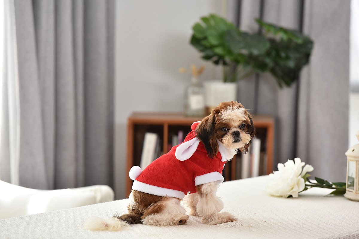 工厂直销 带帽可爱兔子装 猫狗衣服秋冬装宠物衣服 兔子变身装