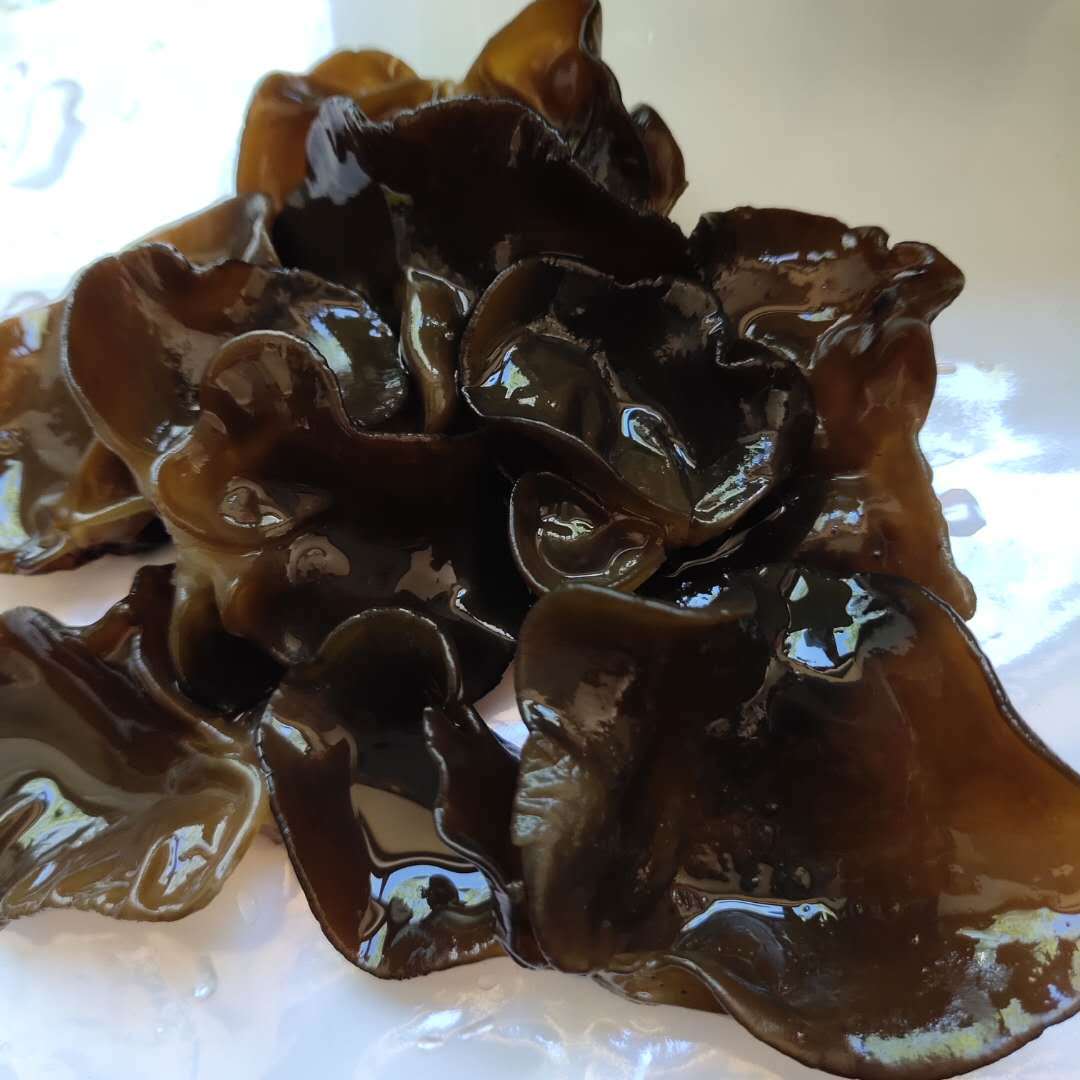 新大兴安岭干货大 朵秋木耳2厘米以下单片500克胶质厚-阿里巴巴