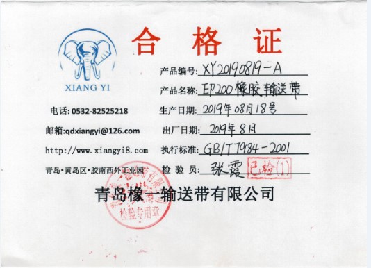 nn200尼龙橡胶输送带阻燃耐温耐酸碱防撕裂网型提升带工业皮带