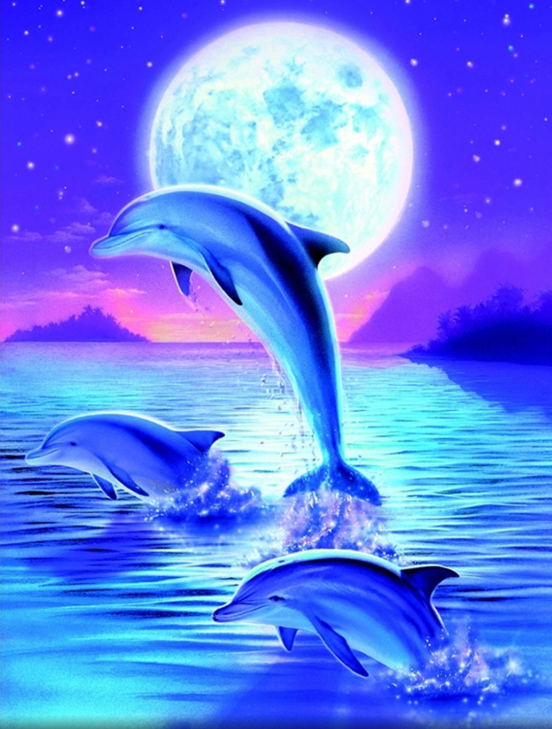梦幻夜景海豚 钻石画