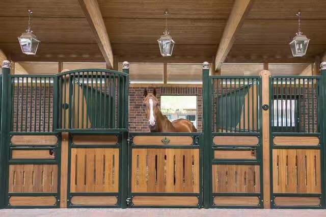 马术障碍赛马房马厩门