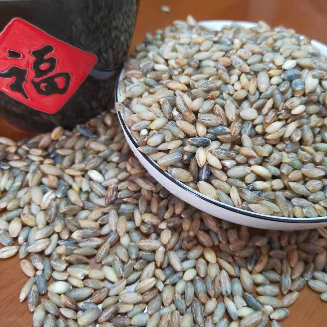【蓝青稞米】-蓝青稞米厂家,品牌,图片,热帖-阿里巴巴