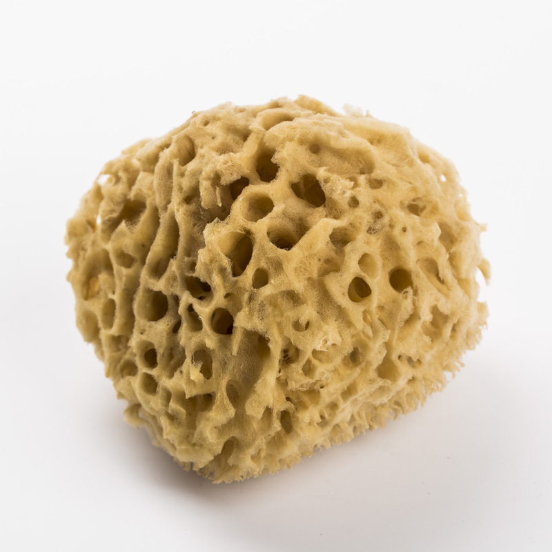 进口希腊原产bgrkokkinossa自然海绵蜂窝海绵成人洗澡