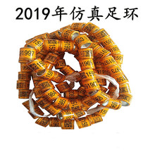 鸽子脚环信鸽用品用具电子环足环2019年全国统一环包环仿真环