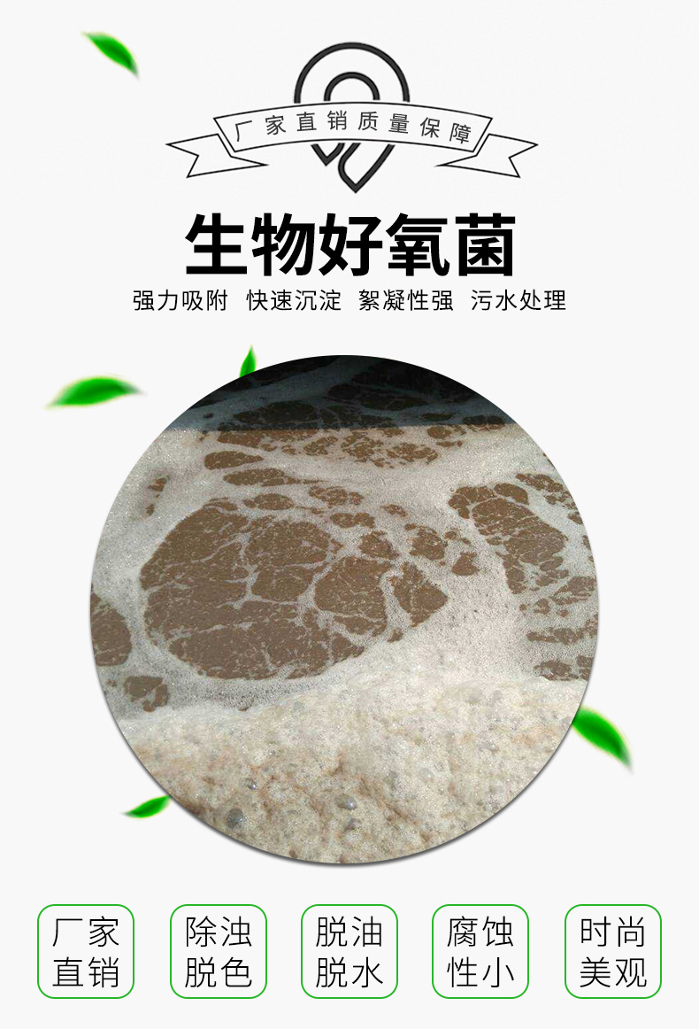 产地 无锡 是否进口 否 型号 生物好氧菌 货号 kj