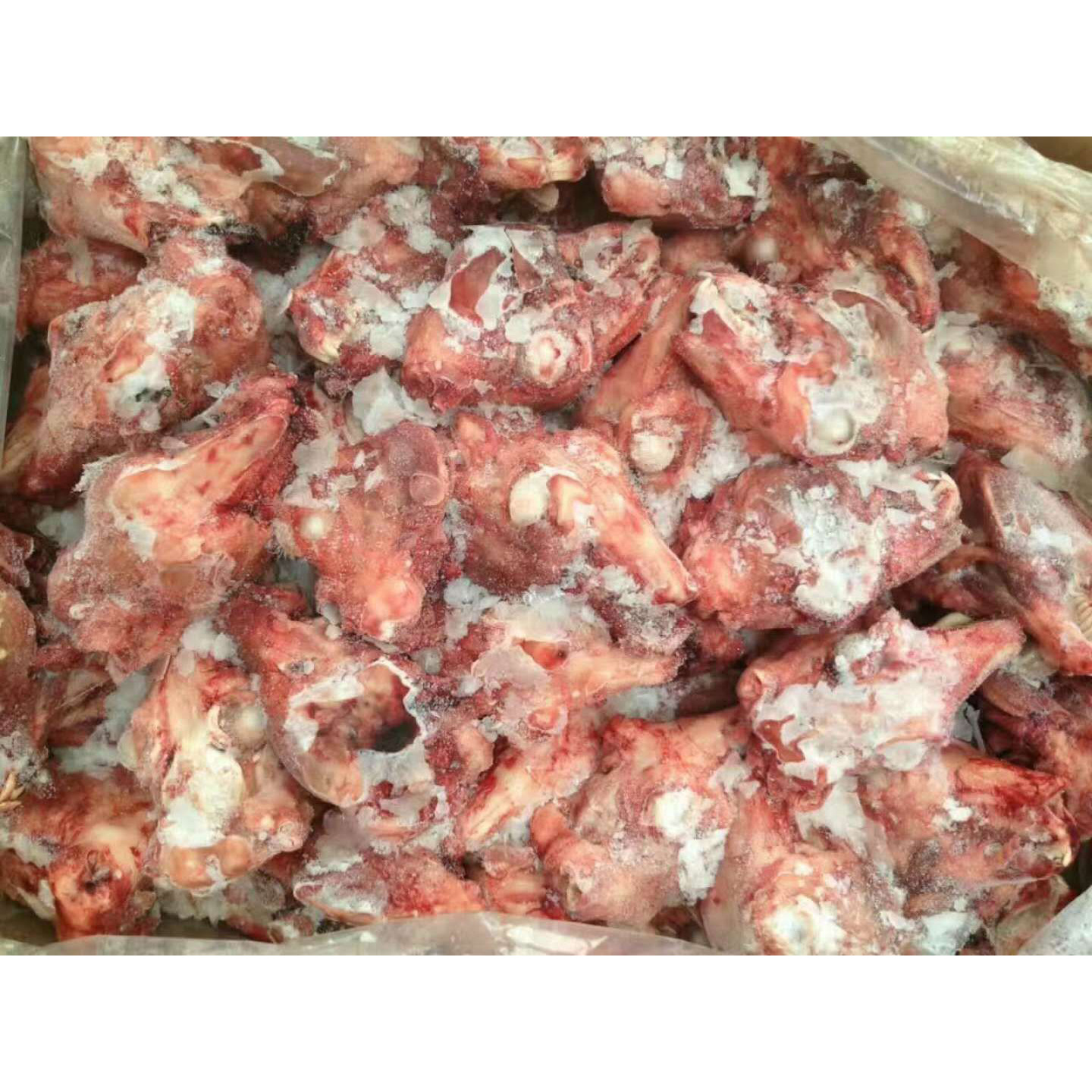 新鲜兔子头整箱19斤 冷冻生兔头肉大兔头速冻兔脑壳小兔头约90个