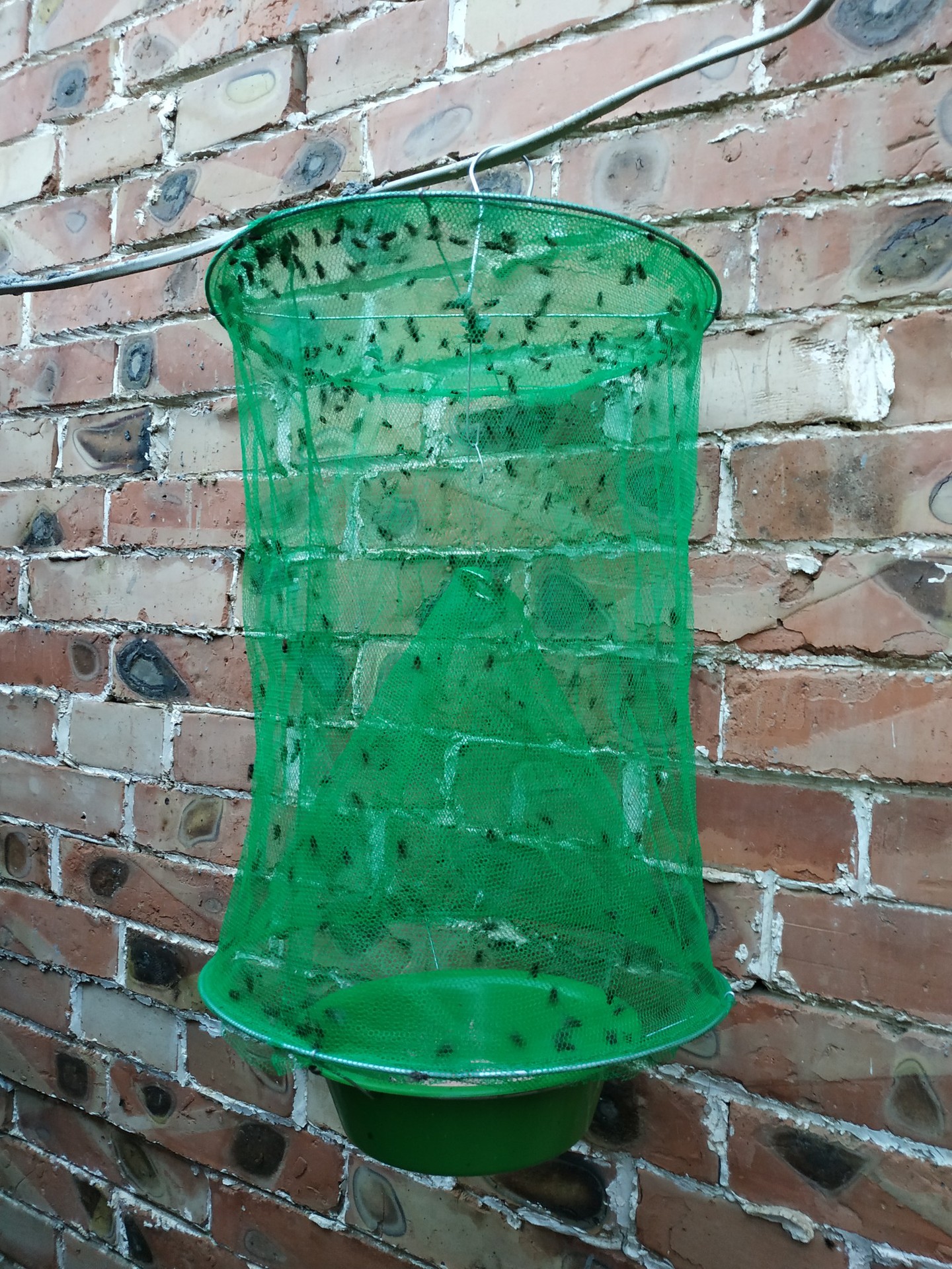 苍蝇笼捕蝇笼诱蝇笼子捕捉器抓苍蝇悬挂式苍蝇神器户外一扫光家用