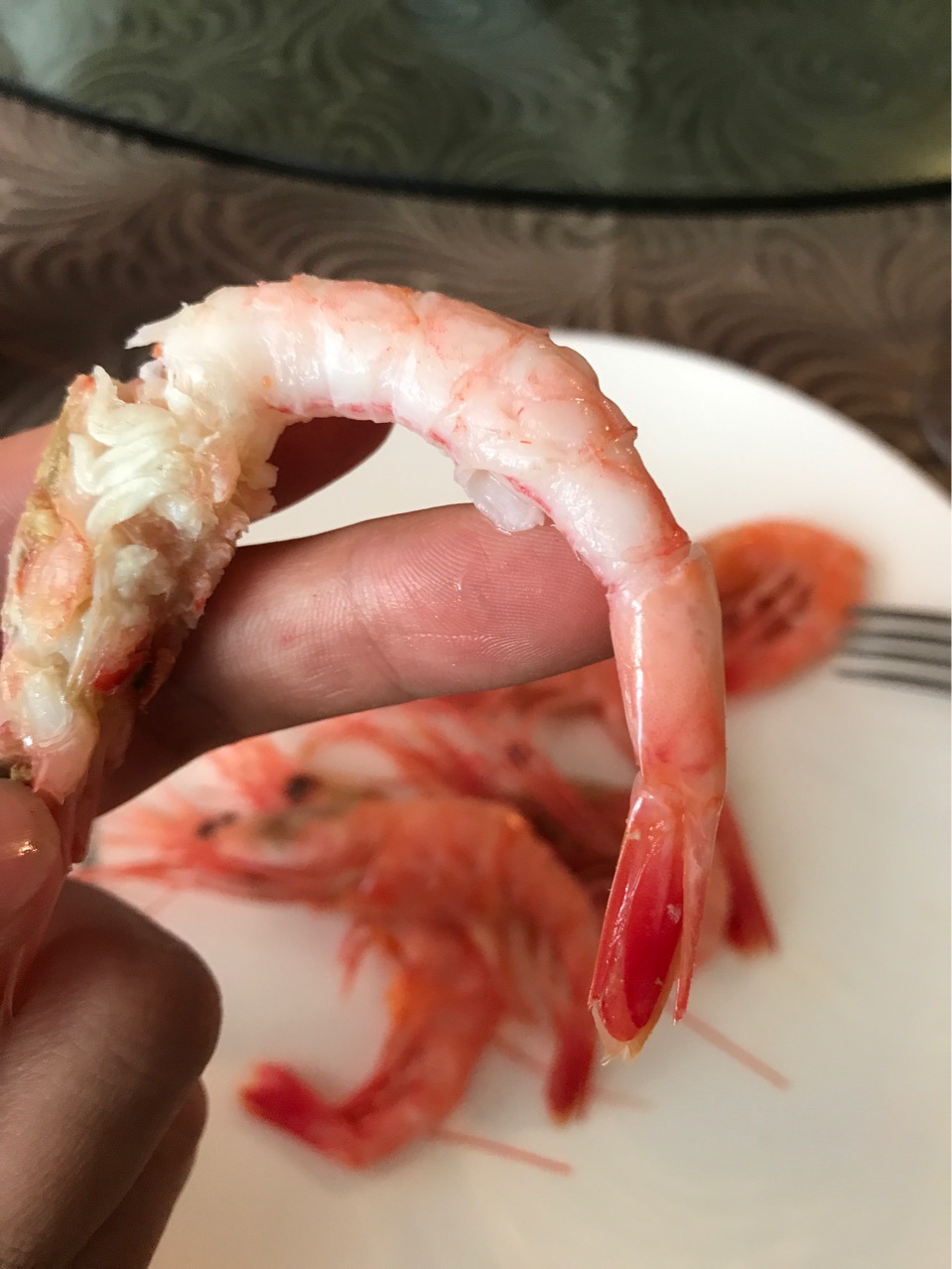 俄罗斯马加丹北极虾