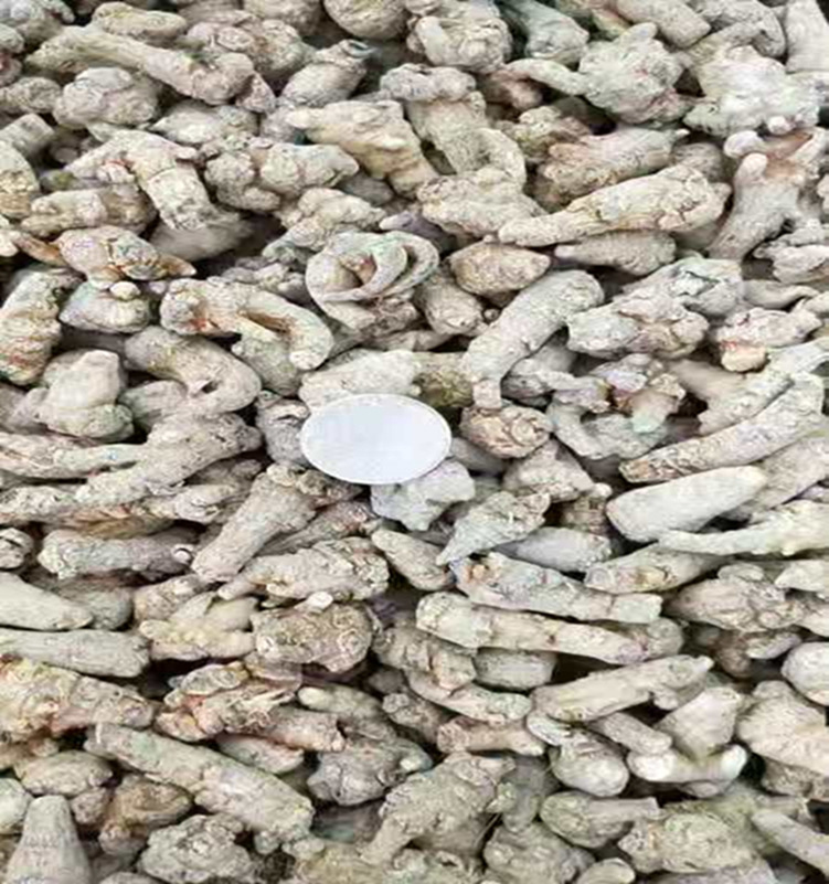 三七120头 小三七1公斤 三七120头 初级农产品