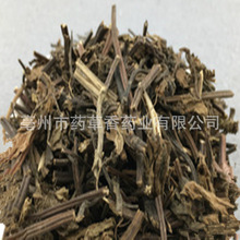 批发凉粉草 仙人草仙人冻仙草干草本凉茶饮料原料 产地直销凉粉草