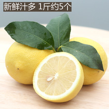 批发安岳柠檬水果 新鲜黄柠檬一级中果1斤约5个 尤力克 5斤起卖