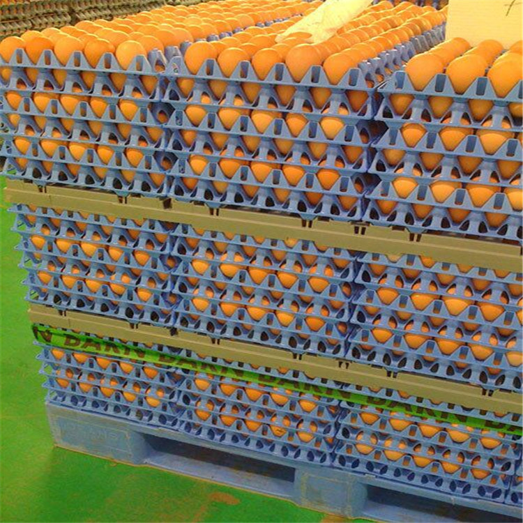 0外型尺寸0型号30枚品牌牧科用途孵化设备适用对象鸡货号0加工定制是