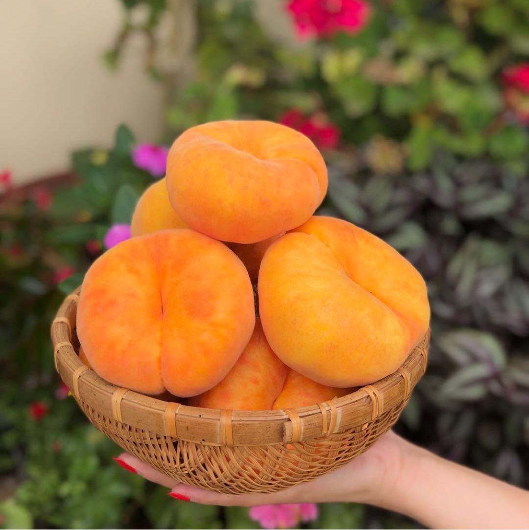 『中蟠11毛蟠桃』蒙阴黄金毛蟠桃现摘扁桃新鲜水果黄毛蜜桃5斤大