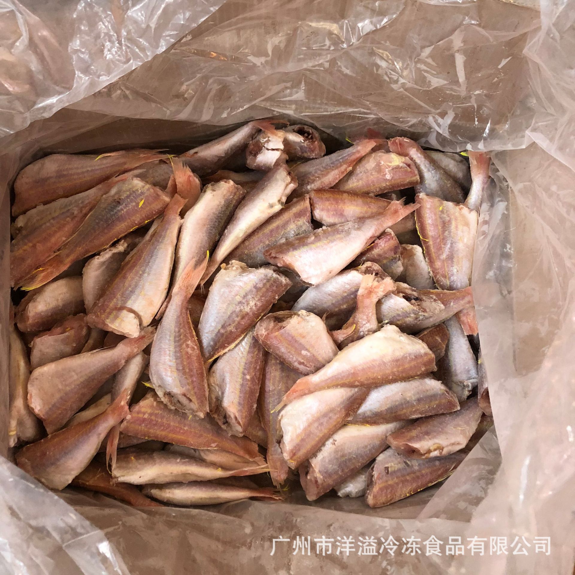 红三鱼 冷冻 金线鱼 三去红三鱼 无头红衫鱼 油炸香煎 员工餐福食