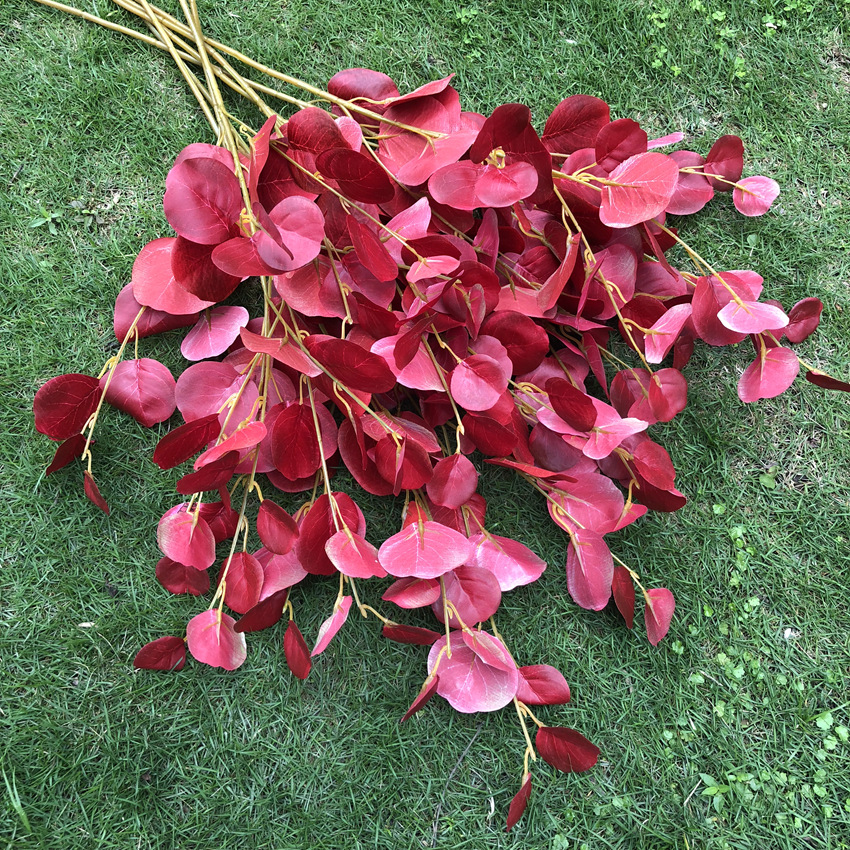 大尤加利叶厂家外贸圆瓣尤加利大叶金叶装饰插花配草批发