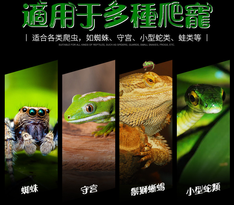 新款爬宠玩具守宫躲避窝多规格通风陶瓷蜥蜴蜘蛛壁虎爬虫躲避窝