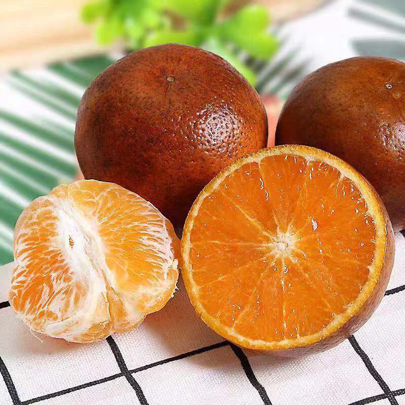 云南甜橘子-云南甜橘子厂家,品牌,图片,热帖-阿里巴巴
