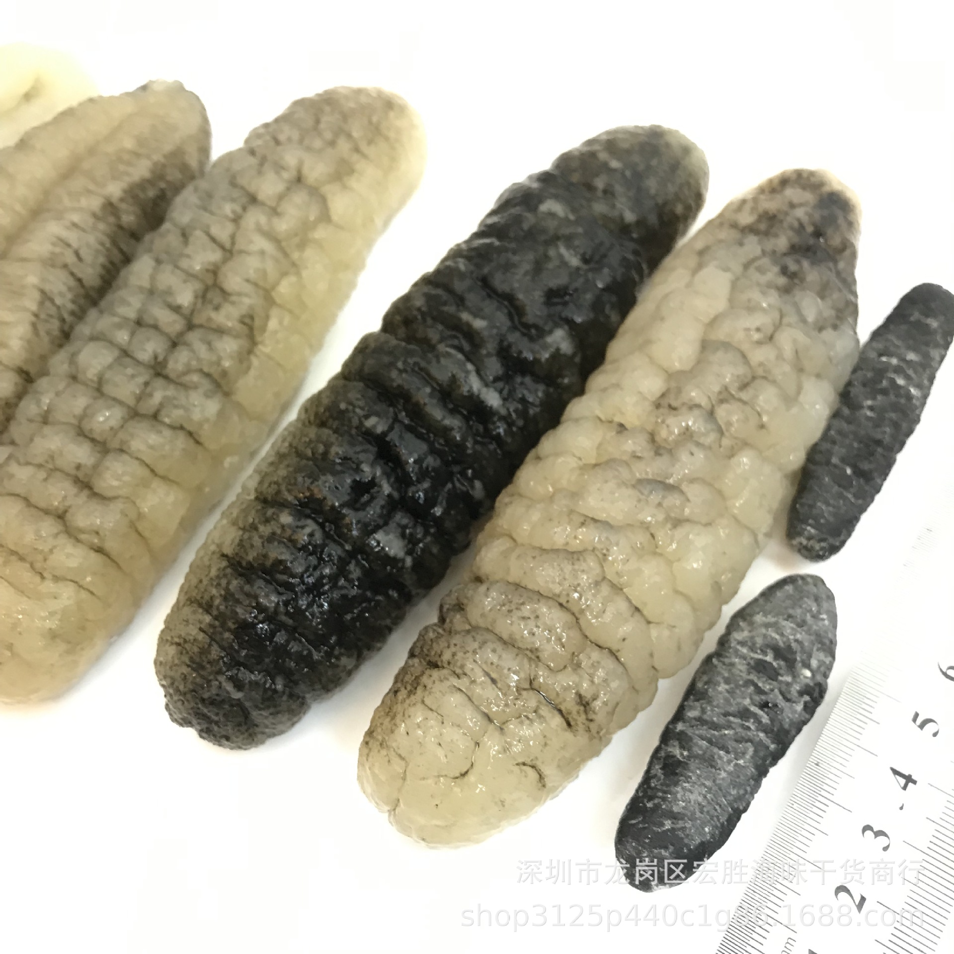 明秃参深海白秃参 淡干海参干货泡发率8倍